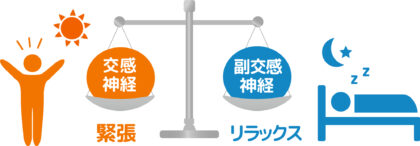 副交感神経